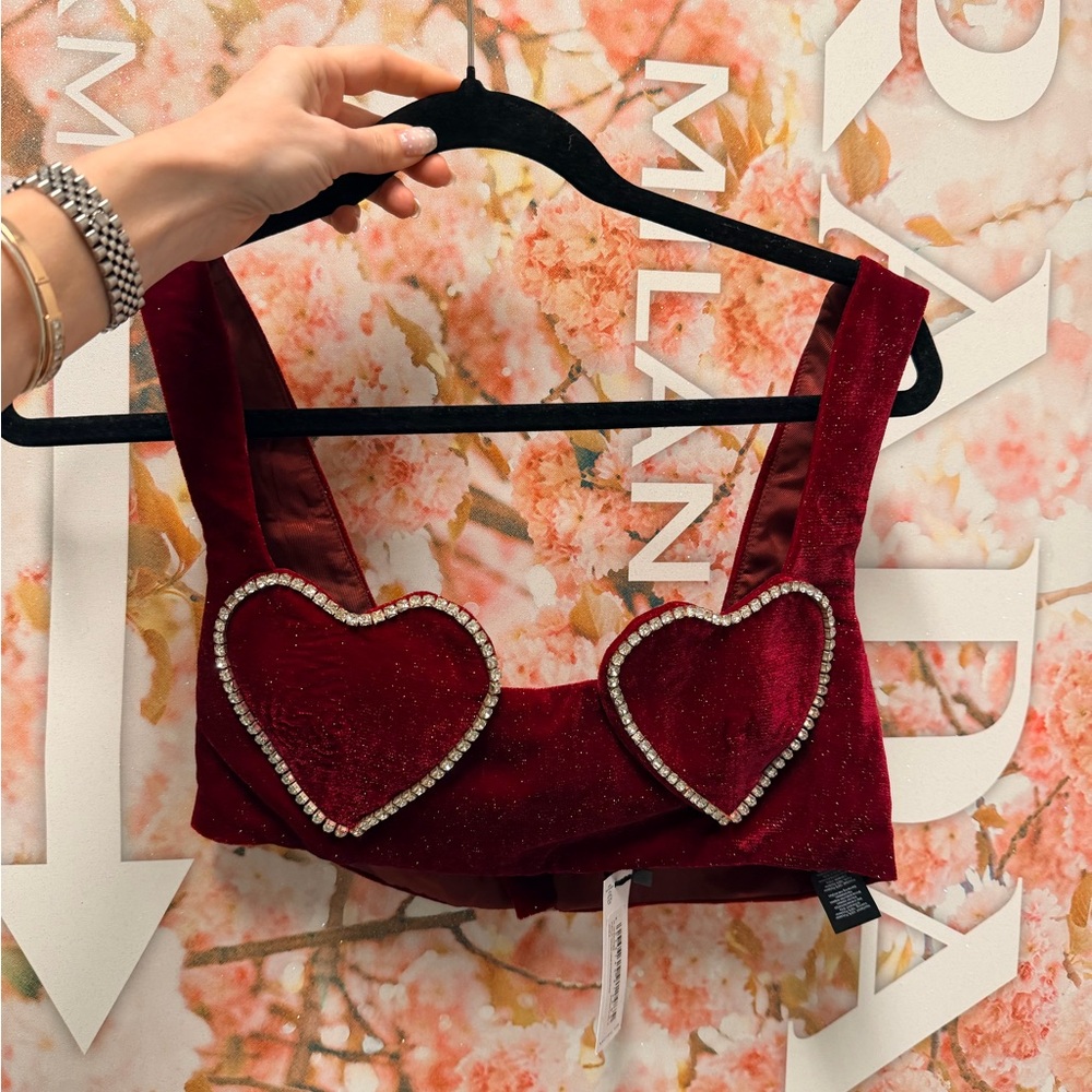 Nasty Gal Burgundy velvet Fabric